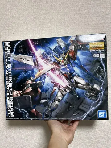 MG 1/100 빌드 스트라이크 건담 풀 패키지