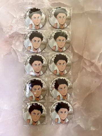 하이큐 극락탕 콜라보 이와이즈미 하지메 캔뱃지