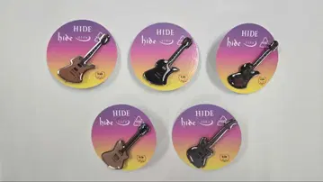 hide 핀즈 캡슐 기타 컬렉션