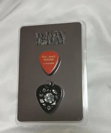 D-DAY SUGA Agust D KANAGAWA 피크