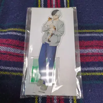 WIND BREAKER 윈브레 사쿠라 하루카 마네키네코 아크릴 스탠드