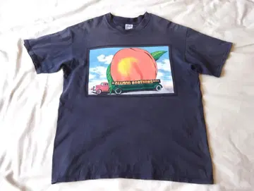 Allman Brothers band 티셔츠 L