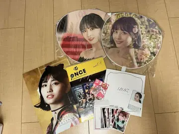 twice Momo 부채 여러가지 세트