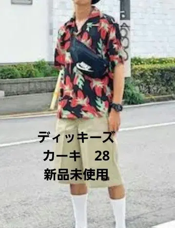 Dickies 플랫 프론트 워크 숏팬츠 카키 28