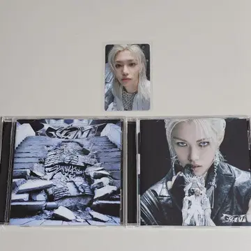 Stray Kids 필릭스 GIANT FC반 트레이딩 카드