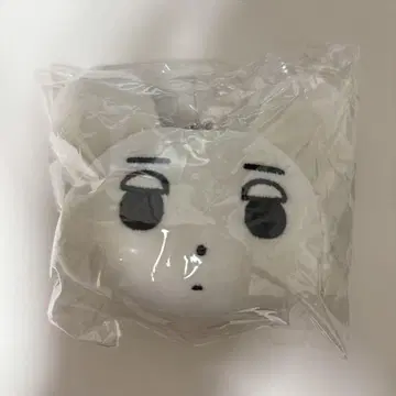 aespa 윈터 직찍이 인형 봉제인형