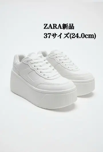 완판템 ZARA 플랫폼 스니커즈 37(JP24cm) 택 포함 새상품