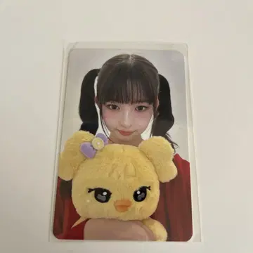 IVE minive 30cm 봉제인형 트레이딩 카드 레이