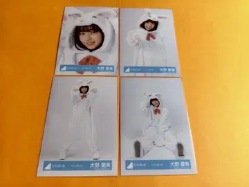 오오노 마나미 히나타자카46 동물 인형옷 브로마이드 컴프