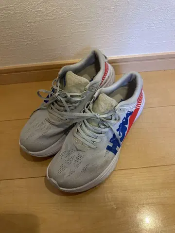 HOKA ONEONE CARBON X 28cm