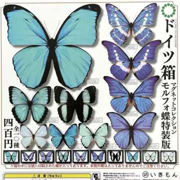 독일 상자 마그넷 컬렉션 모르포 나비 특장판 전 10종 컴플리트