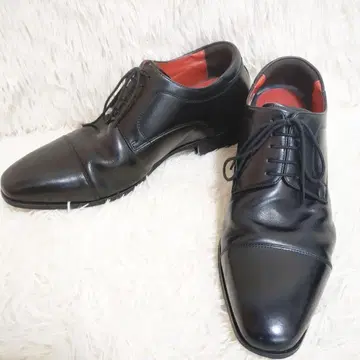 마드라스 Madras 26.0cm 스트레이트 팁 MODELLO