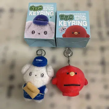 변우석 summer letter 키링 BWS, TTE