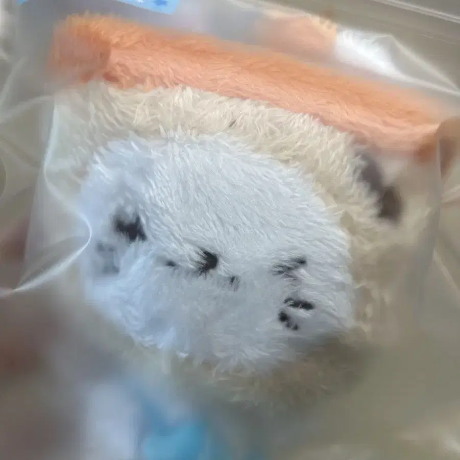 NCT | 엔시티 Nct Wish Yushi Bubble Nyan Wishdoll Steady Poca