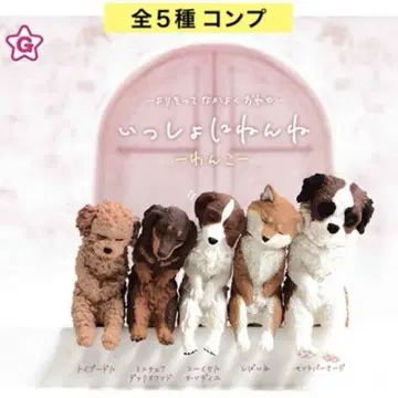함께 쿨쿨 강아지 전5종 컴플 강아지 강아지 강아지 장식물 피규어 가챠