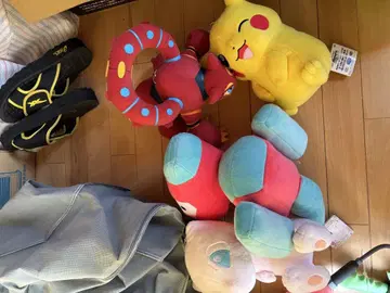 포켓몬 봉제 인형 12개
