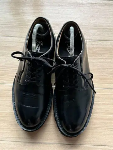 DANNER 대너 포스트맨