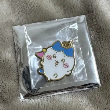 하치와레 메탈 참 치이카와 파크