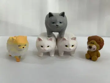 고양이 피라미드, 포메라니안, 라이온