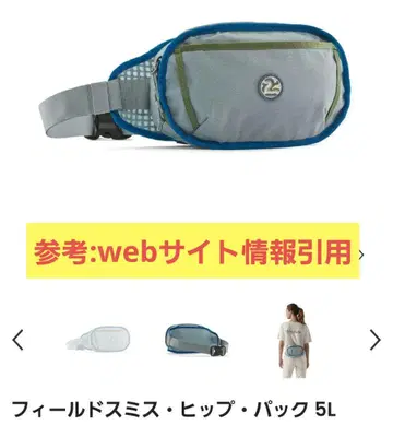 파타고니아 필드스미스 힙 백 5L