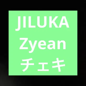 JILUKA Zyean 폴라로이드