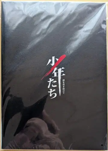 미개봉품 [소년들] 2023년 팜플렛