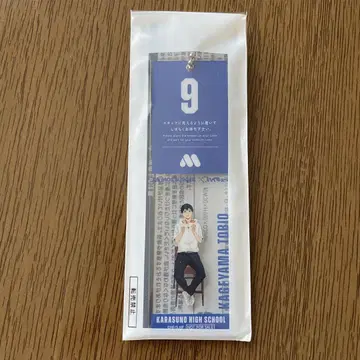 모스버거 하이큐 썸머 럭키 백 대기표풍 참 카게야마 토비오