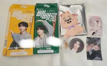stray kids SKZOO 한