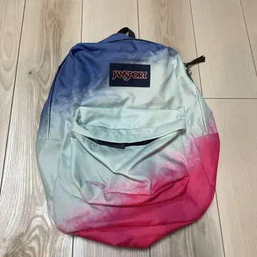 Jansport 그라데이션 백팩