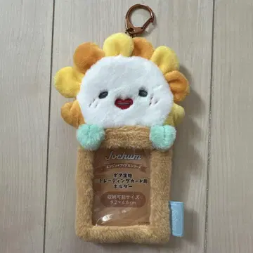 JOCHUM bira 비라 트레이딩 카드 케이스