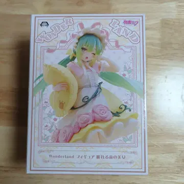 미개봉 새상품 하츠네 미쿠 WONDERLAND 피규어 잠자는 숲속의 미녀
