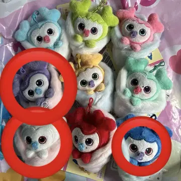 twice gigo 다현