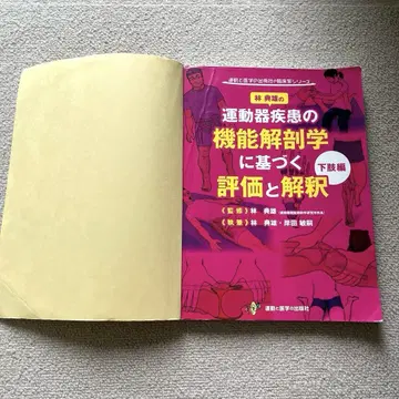 운동기 질환의 기능 해부학에 근거한 평가와 해석: 하지편