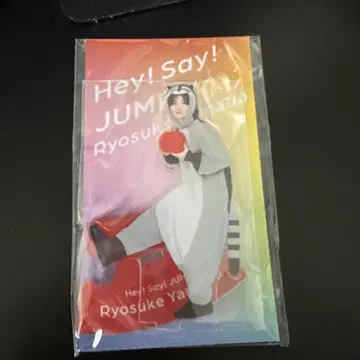야마다 료스케 아크릴 스탠드 라쿤