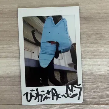 비와호 군 폴라로이드 사진