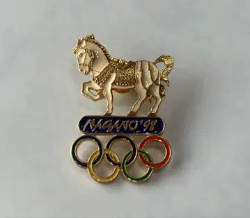 Nagano '98 올림픽 핀 배지 하쿠바