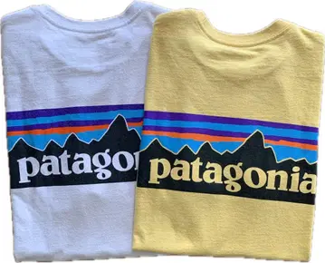patagonia 티셔츠 2매 세트