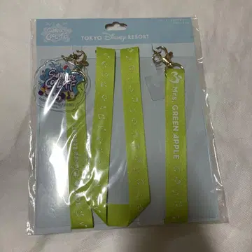디즈니 리조트 미세스 그린 애플 스마트폰 액세서리