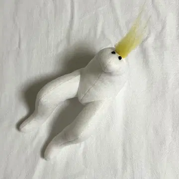 마니 노미보이