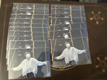 스니스테 니시키 브로마이드