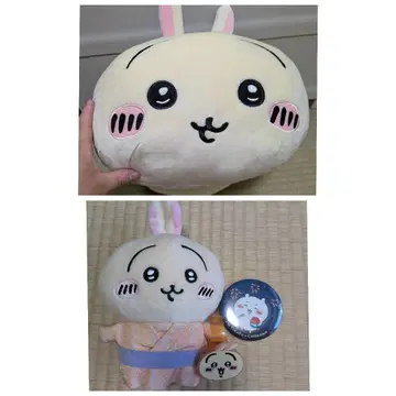 치이카와 세트