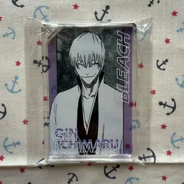 BLEACH 도미노풍 아크릴 키홀더 컬렉션 이치마루 긴