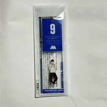 모스버거 하이큐 썸머 럭키 백 대기표풍 참 카게야마 토비오 미개봉