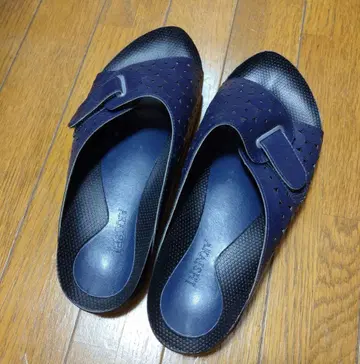 아카이시 아치 피터 4L