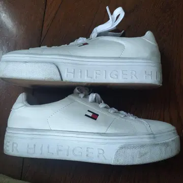 타미힐피거
