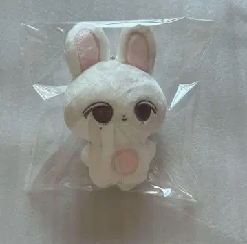 seventeen 정한 봉제 인형 10cm