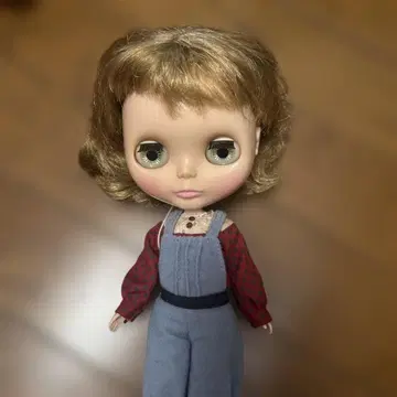 브라이스 인형 본체