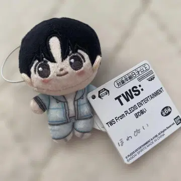 TWS 홓와누이 한진