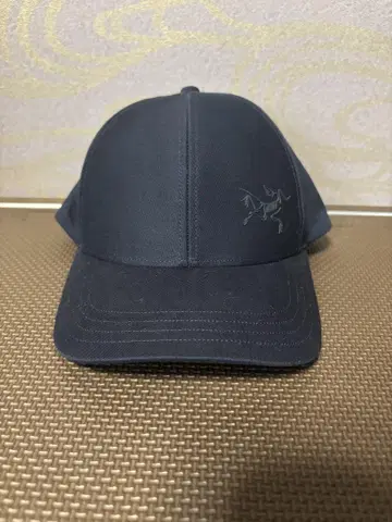 Arc'teryx 네이비 캡