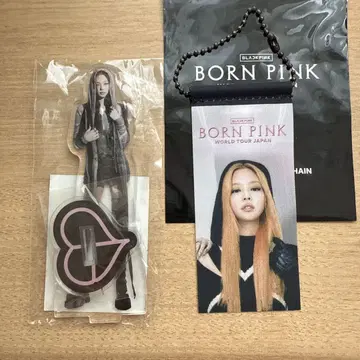 BLACKPINK BORN PINK 제니 아크릴 스탠드 미니 태피스트리